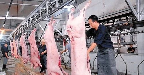 屠宰場臭氣影響周邊環(huán)境？解決辦法在這里.jpg